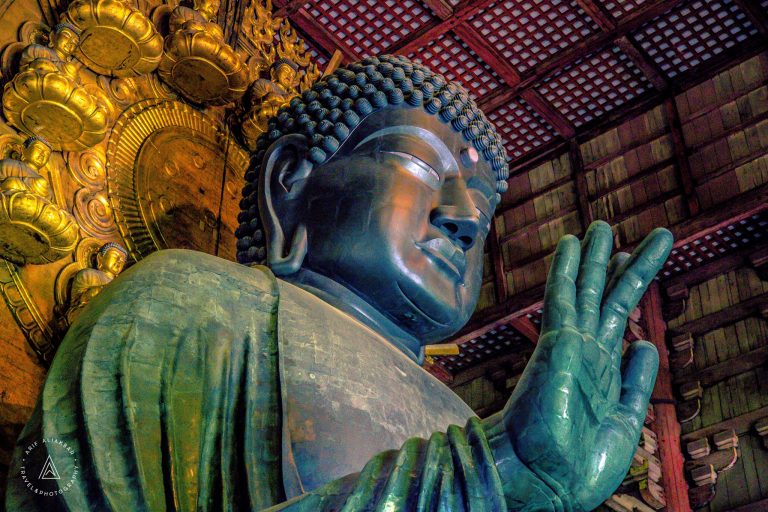 Dünyanın ən iri taxta tikilisi